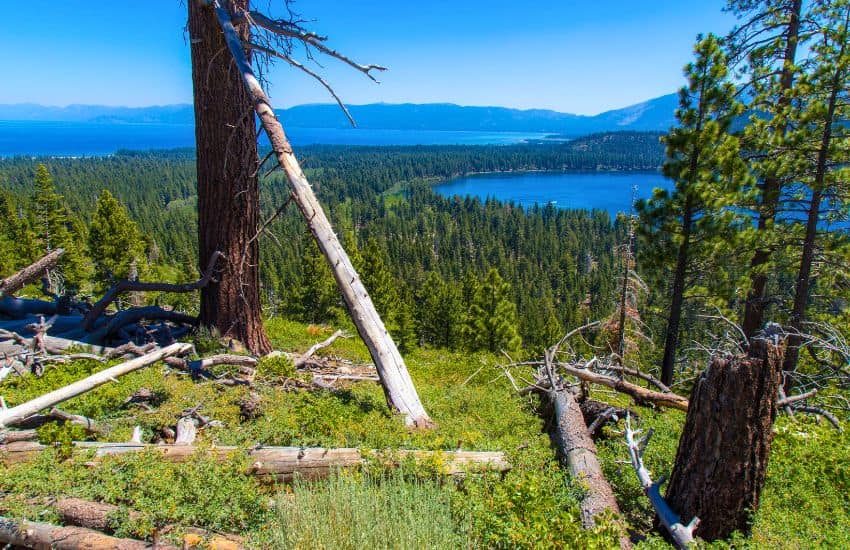 Fallen Leaf Lake at Lake Tahoe